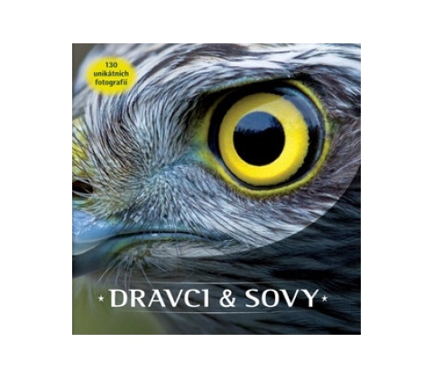 Dravci a sovy