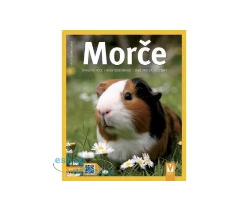 Morče
