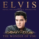 Hudba Wonder Of You & If I Can Dream - Elvis Presley CD