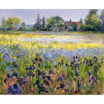 Plakát, Obraz - Irises and Two Fir Trees, 1993, Timothy Easton, 40 × 33 cm