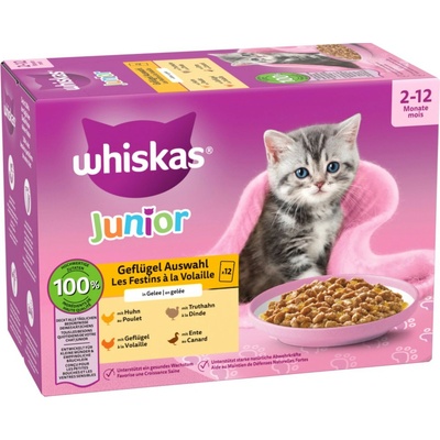 Whiskas Junior drůbeží výběr v želé 24 x 85 g