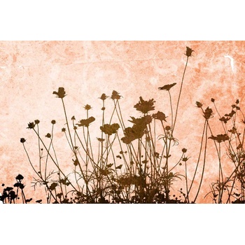 DIMEX ART s. r. o Флизелинов фототапет абстрактна поляна 375 x 250 см