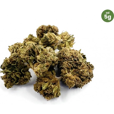 CBDčko CBD Konopný květ Harlequin GDP THC do 0,5% 10 g – Zboží Dáma