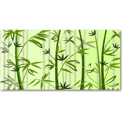 Fotoobraz na skle bambus 100x50 cm