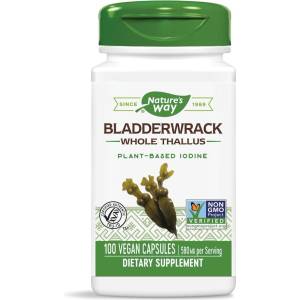 Nature's Way Bladderwrack Whole Thallus/ Кафяви водорасли/ Фукус 580 mg х 100 капсули Nature’s Way (15380)