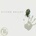 That's Right - Victor Bailey CD