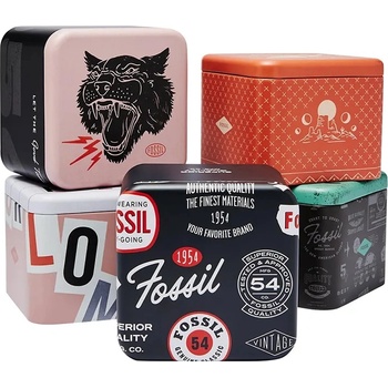Fossil FS6092