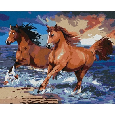 zuty Malování podle čísel Koně na písečné pláži Howard Robinson 80 x 100 cm vypnuté plátno na rám 8596530061830