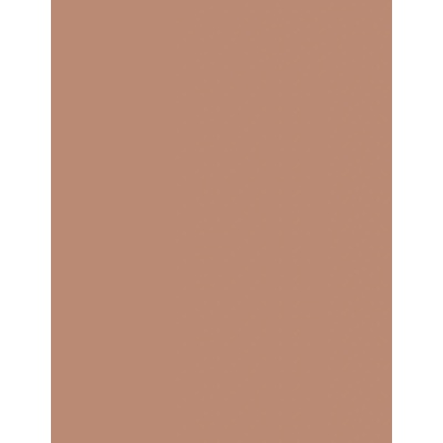 Artdeco Blusher Pudrová Tvářenka 2 Deep Brown Orange Blush 5 g – Zboží Dáma