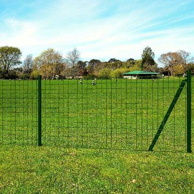 vidaXL Euro plot ocel 25 x 1 m zelený