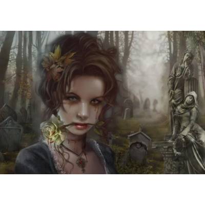 Grafika - Puzzle Ortega: The Graveyard II - 1 000 piese