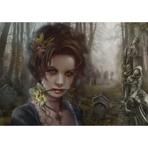 Grafika Art Puzzle - Puzzle Ortega: The Graveyard II - 1 000 piese