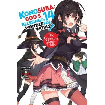 Konosuba: God's Blessing on This Wonderful World! , Vol. 14 light novel