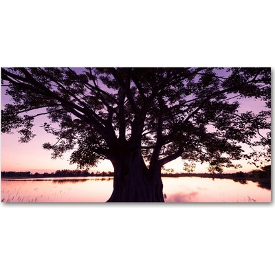 Foto-obraz fotografie na skle Stromy a jazero 100x50 cm