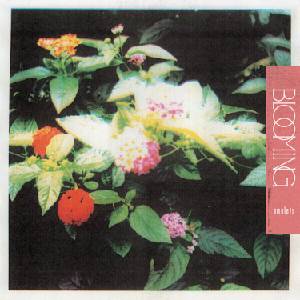 Amulets - Blooming (Limited Edition) (LP) (0733102718947)