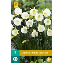 JUB HOLLAND Cibule narcisu Narcissus 'White Petticoat' - 5 kusů