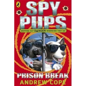Prison Break Cope AndrewPaperback