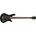 Spector Legend 5 Standard Black Stain Gloss