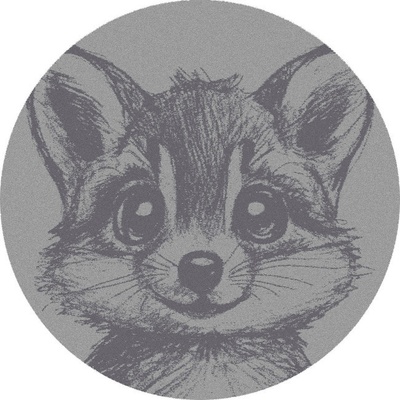 Najkoberce FD Soft Racoon sivý / popolový