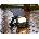 LED line 223943