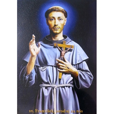 Obraz na dreve: sv. František, oroduj za nás (30 x 20)