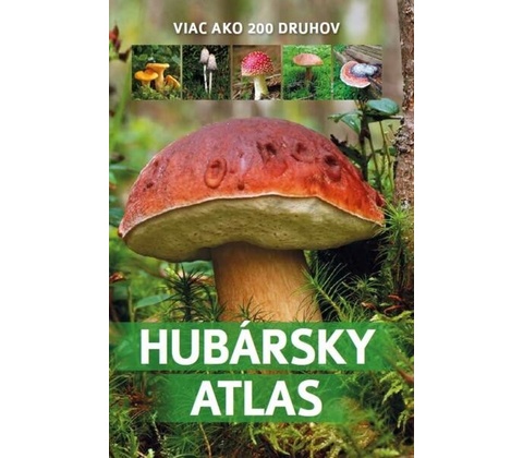 Atlas húb