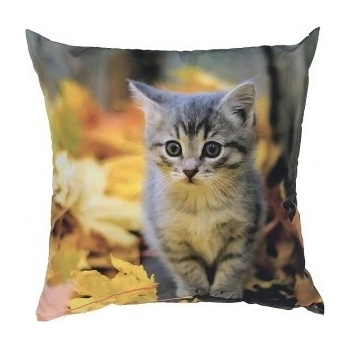 Dadka Foto vankúš Kotě s listím 40x40