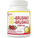 Uro Brusnice 60 tabliet