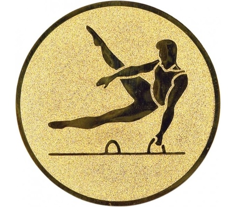 Emblém E43 Gymnastika