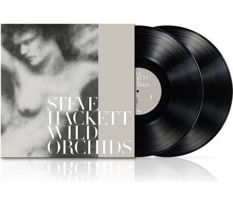 Hackett Steve - Wild Orchids LP