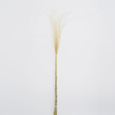 Stypha - pierko Natural/zv