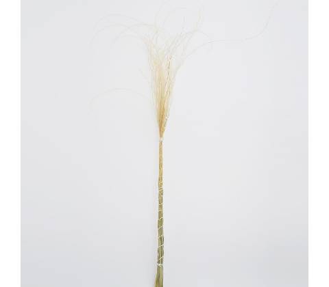 Stypha - pierko Natural/zv