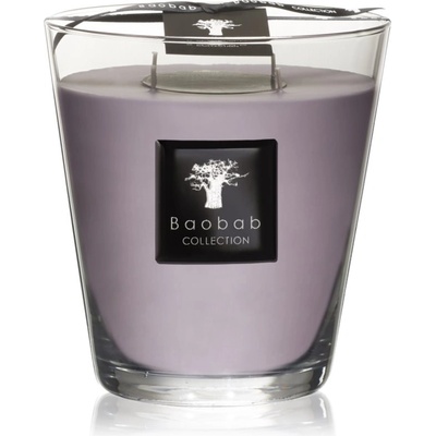 Baobab Collection All Seasons White Rhino ароматна свещ 1000 гр