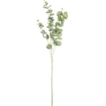 Bizzotto ИЗКУСТВЕНА КЛОНКА eucalyptus 93cm ЗЕЛЕНА (0172933)