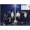 Stray Kids: Top LTD