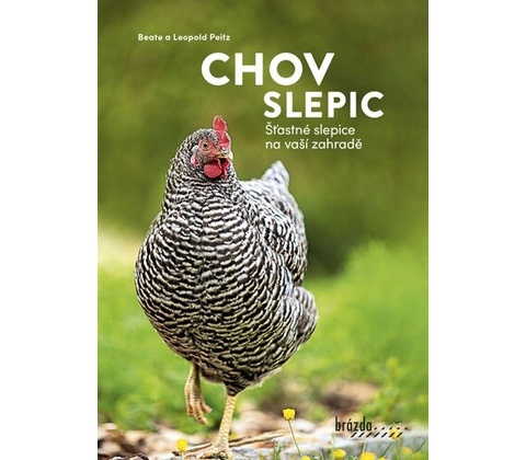 Chov slepic