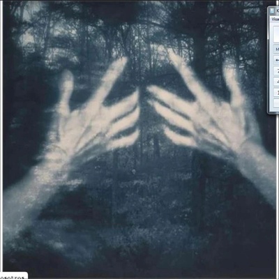 SILVA, SUSANA SANTOS - ALL THE BIRDS AND A TELEPHONE RINGING CD