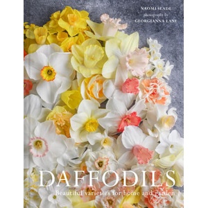 Narcissus (2025)