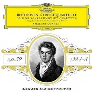 Amadeus Quartet - Beethoven String Quartets (Rasumovsky) (2 LP) (0028947981206)