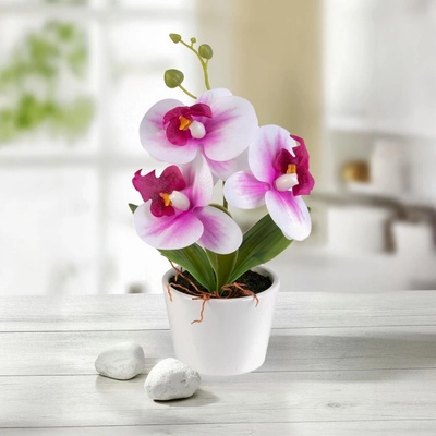 Die moderne Hausfrau Die moderne Hausfrau Umelá orchidea v kvetináči