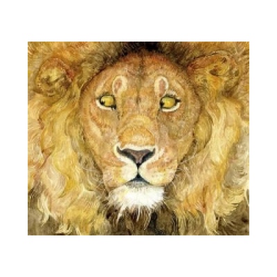 Lion and the Mouse Pinkney Jerry