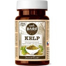 Vitamíny a doplňky stravy pro psy Canvit BARF Kelp mořská řasa 60 g