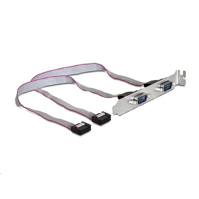 Delock Slot Konzol > 2 x Soros (89268) (89268) (89268)