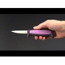 Morakniv Precision 12247