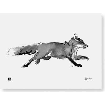 Plagát Adventurous Fox 40x30