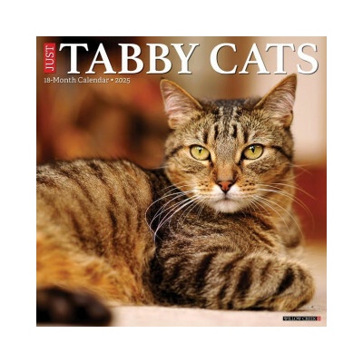 Tabby Cats 12 X 12 Wall 2026