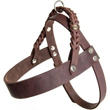 Cloud7 Harness Central Park