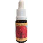PHI Essences За силен имунитет и жизнерадост - African Essence № 9 - Есенция K9, капки 30 ml (1 AFRICAN)
