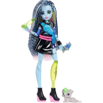 Monster High Кукла Monster High - Frankie Stein, с домашен любимец, 28 cm (JHK31)