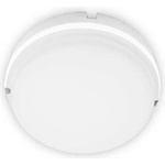 BRILUM FIDO B3249